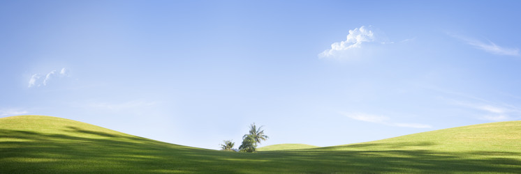 Similar image 534060