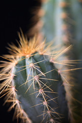 Similar image 534063