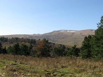 Similar image 534395