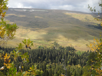 Similar image 534401