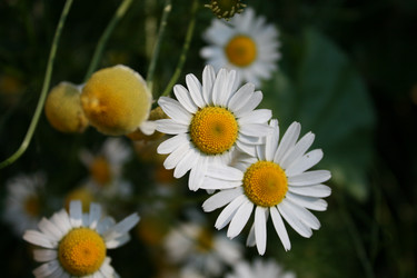 Similar image 534448