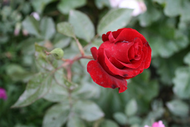 Similar image 534464