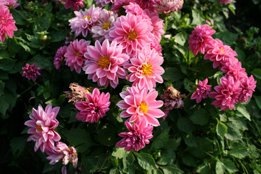 Similar image 534485