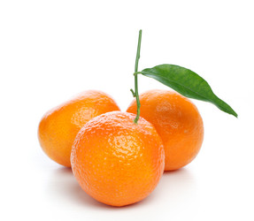 Similar image 534641