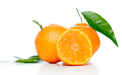 Similar image 534693