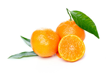 Similar image 534695