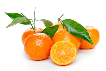 Similar image 534710