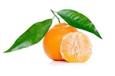 Similar image 534709