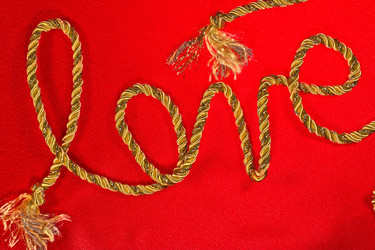 Similar image 534768