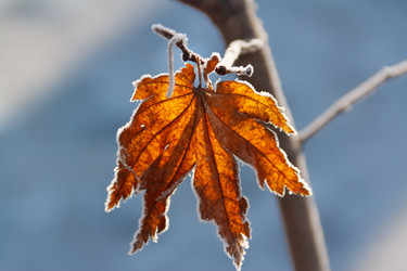 Similar image 534788