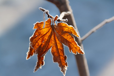 Similar image 534797