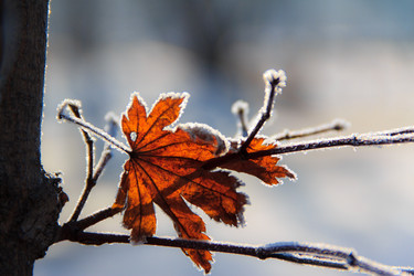 Similar image 534802