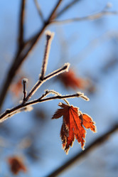 Similar image 534811