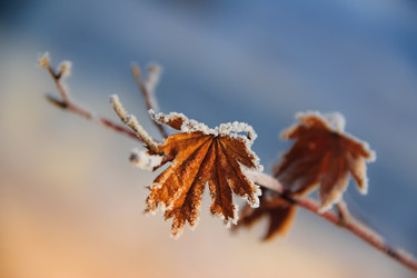 Similar image 534815