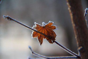 Similar image 534819