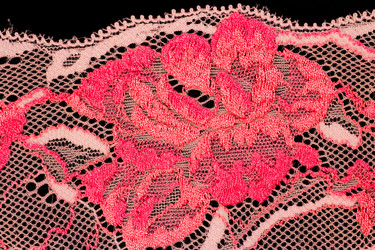 Similar image 534839