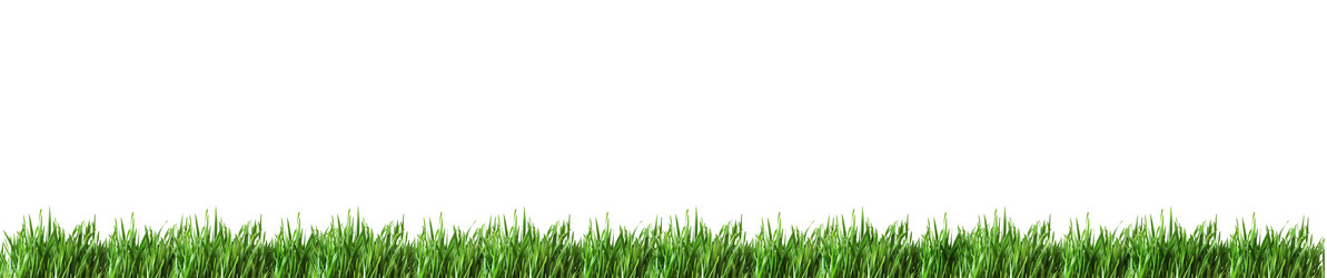 Similar image 534995