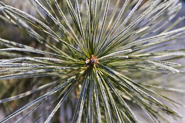 Similar image 535006