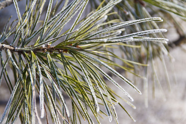 Similar image 535008