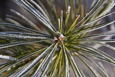 Similar image 535009