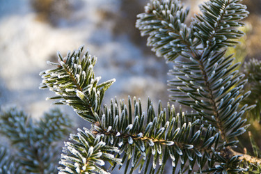 Similar image 535015