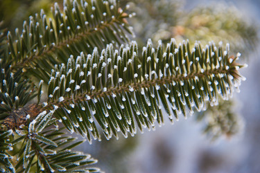 Similar image 535018