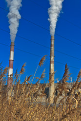 Similar image 535049