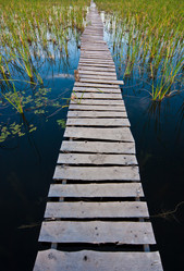 Similar image 535050