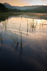 Similar image 535059