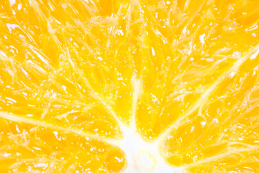 Similar image 535073