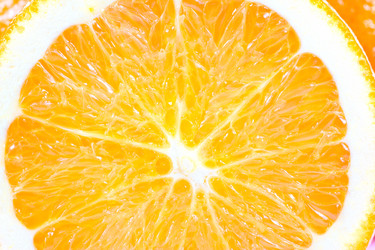 Similar image 535076