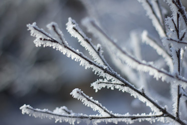 Similar image 535081