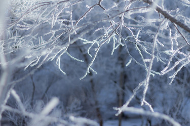 Similar image 535100