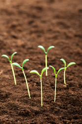 Similar image 535101