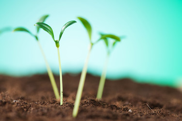 Similar image 535112