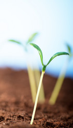 Similar image 535114