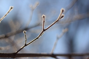 Similar image 535116