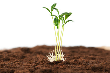 Similar image 535117