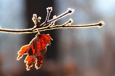 Similar image 535124