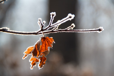 Similar image 535134