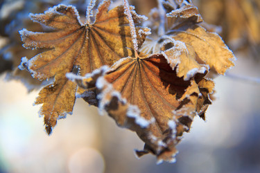 Similar image 535142