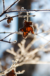 Similar image 535153