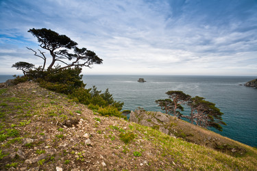 Similar image 535164