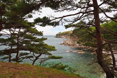 Similar image 535165