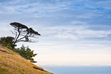 Similar image 535166