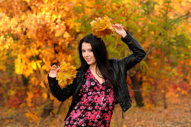 Similar image 535202