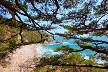 Similar image 535242