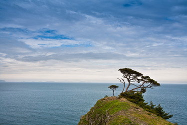 Similar image 535249