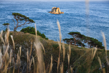 Similar image 535261