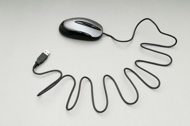 Similar image 535288